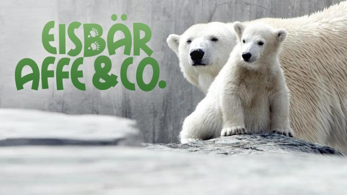 Eisbär, Affe & Co.